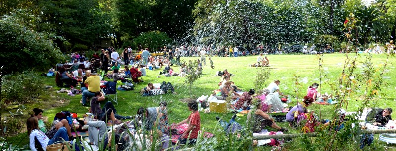 Le pique-nique avant le concert