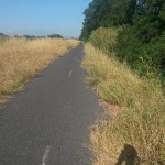 La moitié de la piste cyclable est laissée à la végétation