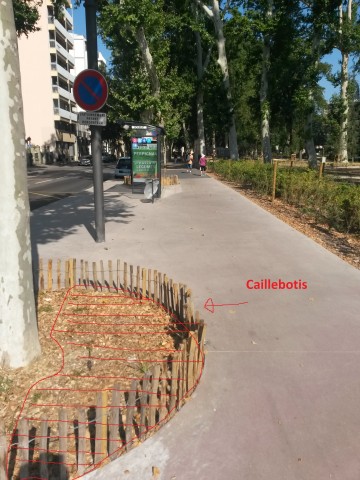 Solution proposée, construction d'un caillebotis